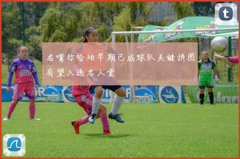 名嘴称哈珀早期已成球队关键拼图有望入选名人堂