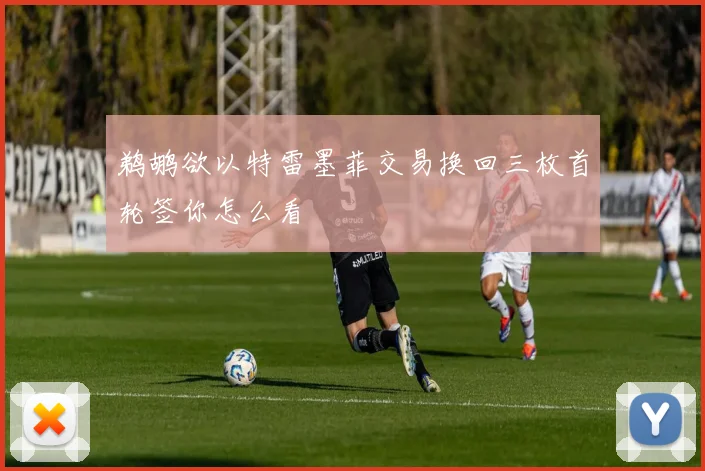 鹈鹕欲以特雷墨菲交易换回三枚首轮签你怎么看